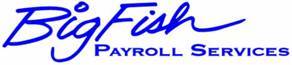 Big Fish Payroll Service